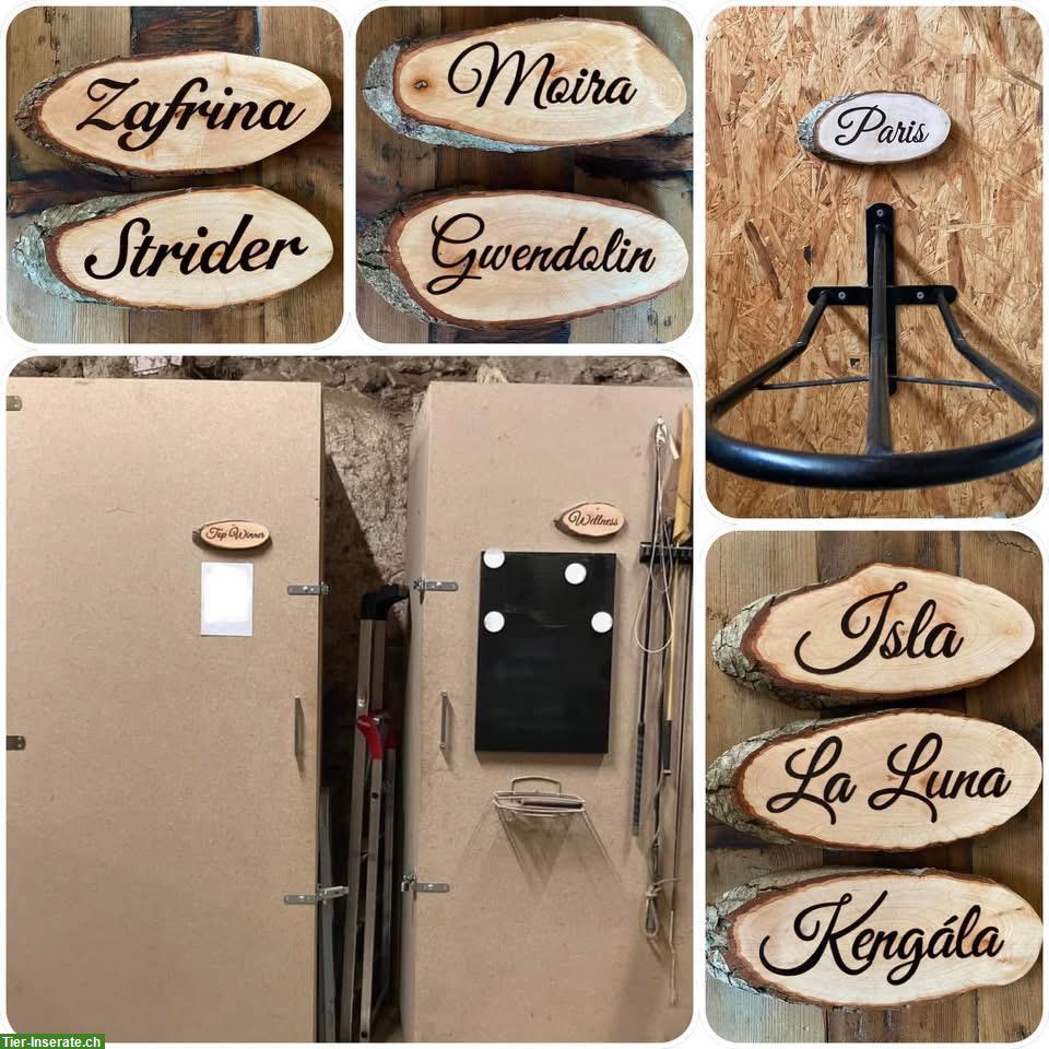 Bild 4: Boxenschilder aus Holz (Brandmalerei) zu verkaufen