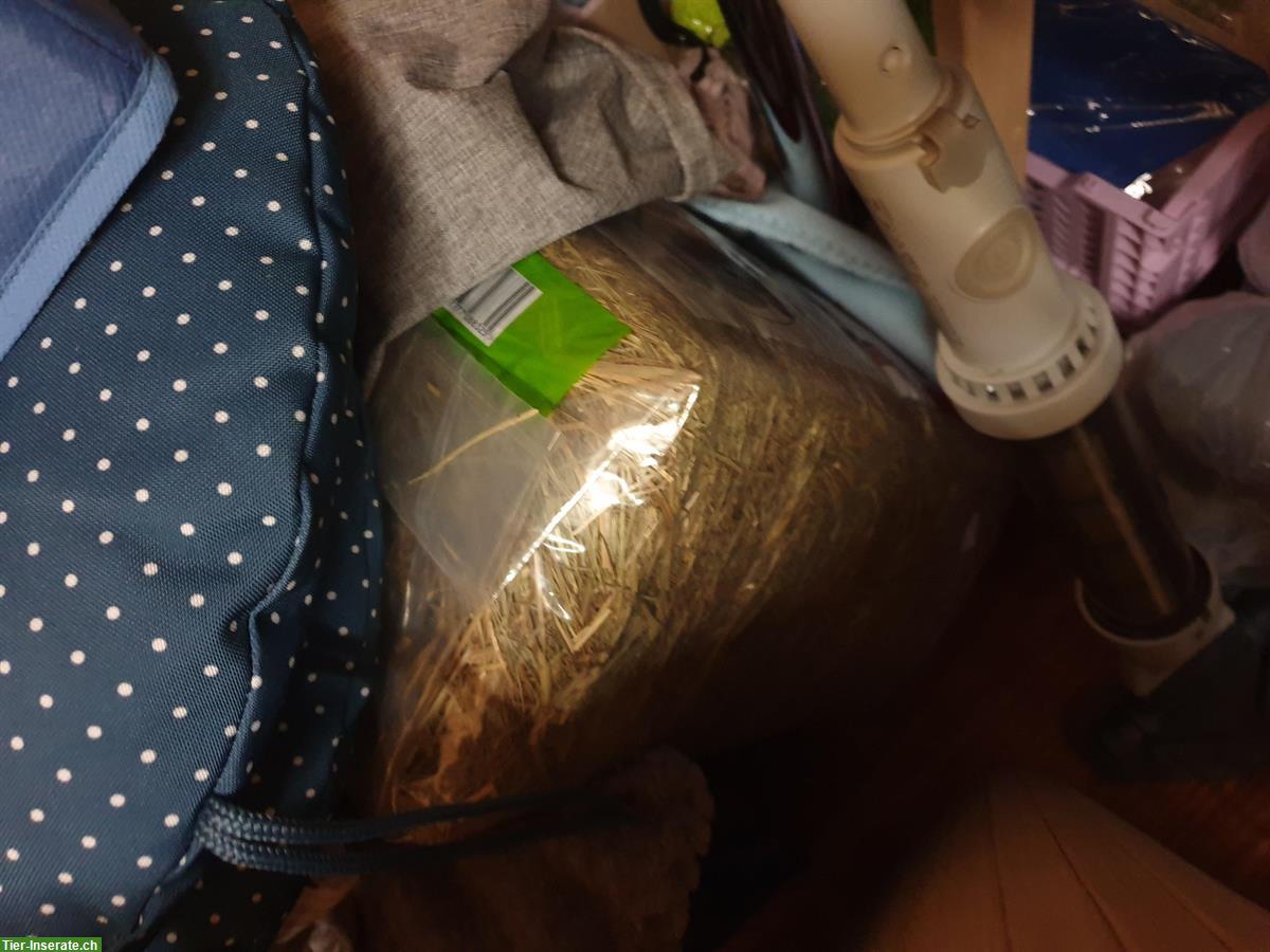 Zwerghamster mit Käfig und Zubehör zu verkaufen