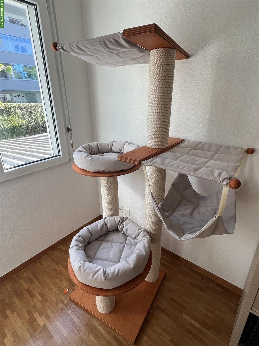 Echtholz Katzenbaum, Katze hat ihn nie gebraucht