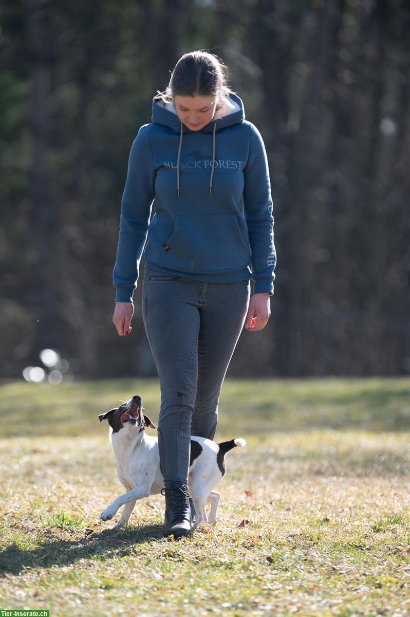 Bild 8: Erfahrene Hundetrainerin sucht Arbeit | Hundehotel, Gassi, Training