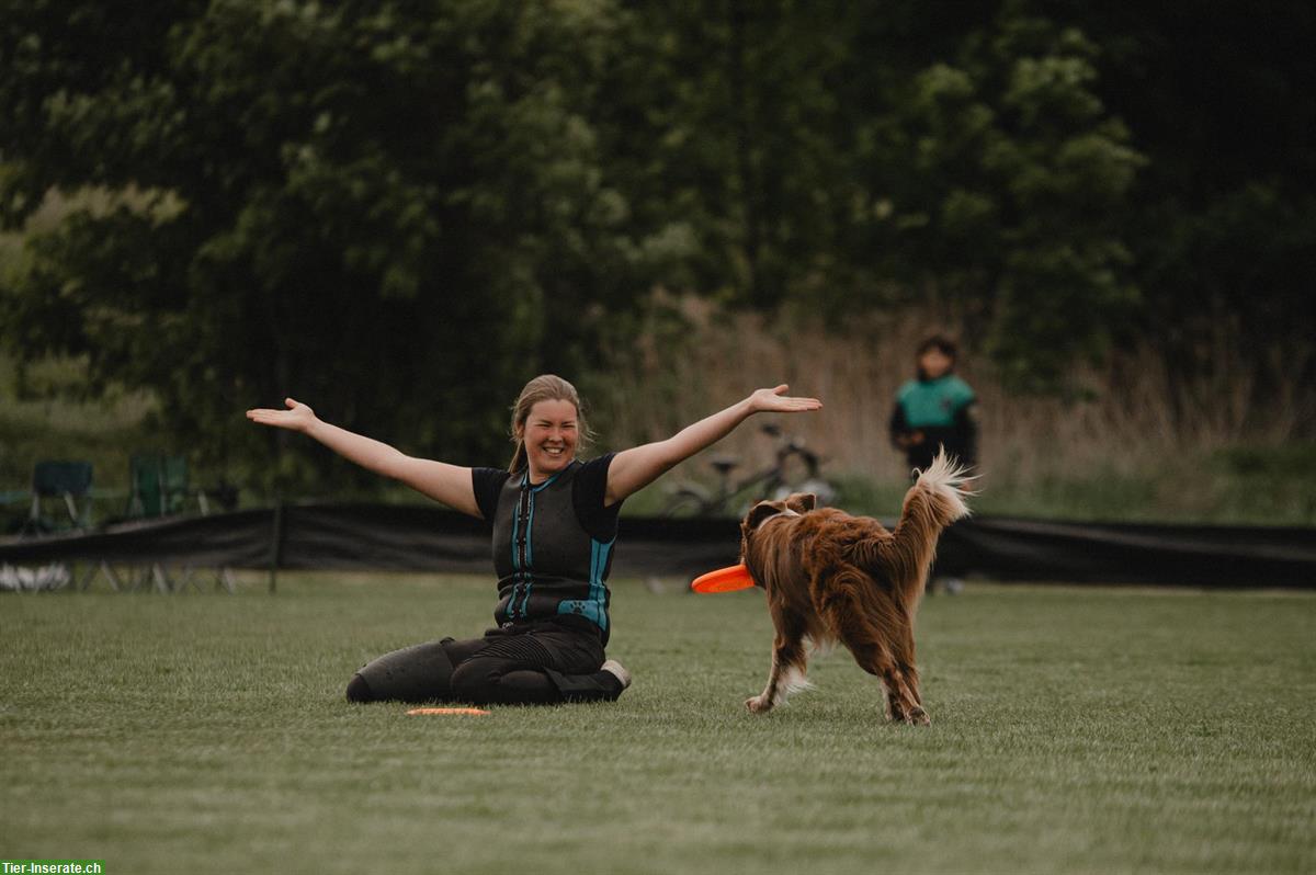 Bild 9: Erfahrene Hundetrainerin sucht Arbeit | Hundehotel, Gassi, Training