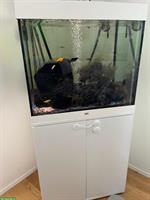 Juwel Aquarium Lido 200 LED – Komplettset