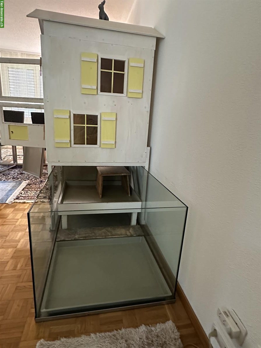 Bild 2: Kaninchenstall mit 3 Etagen zu verkaufen