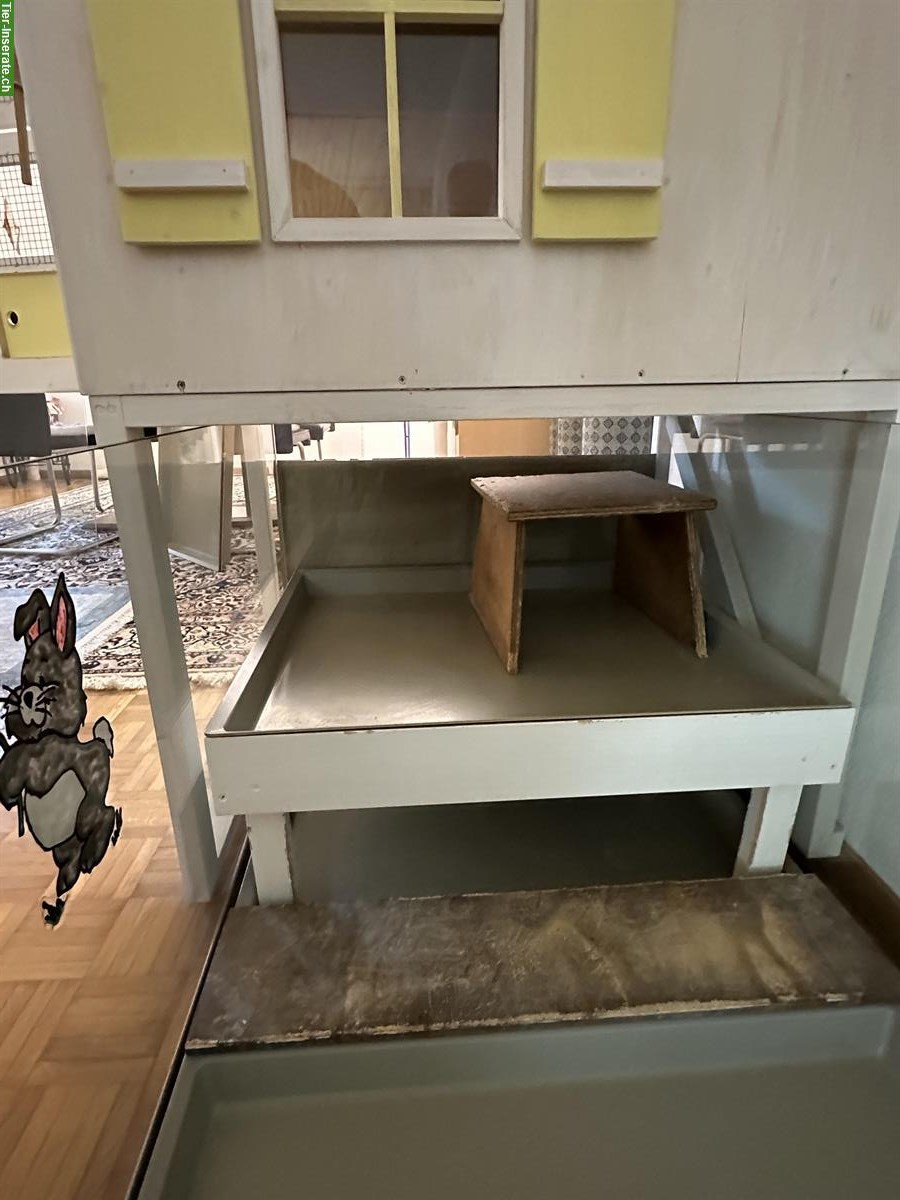 Bild 6: Kaninchenstall mit 3 Etagen zu verkaufen