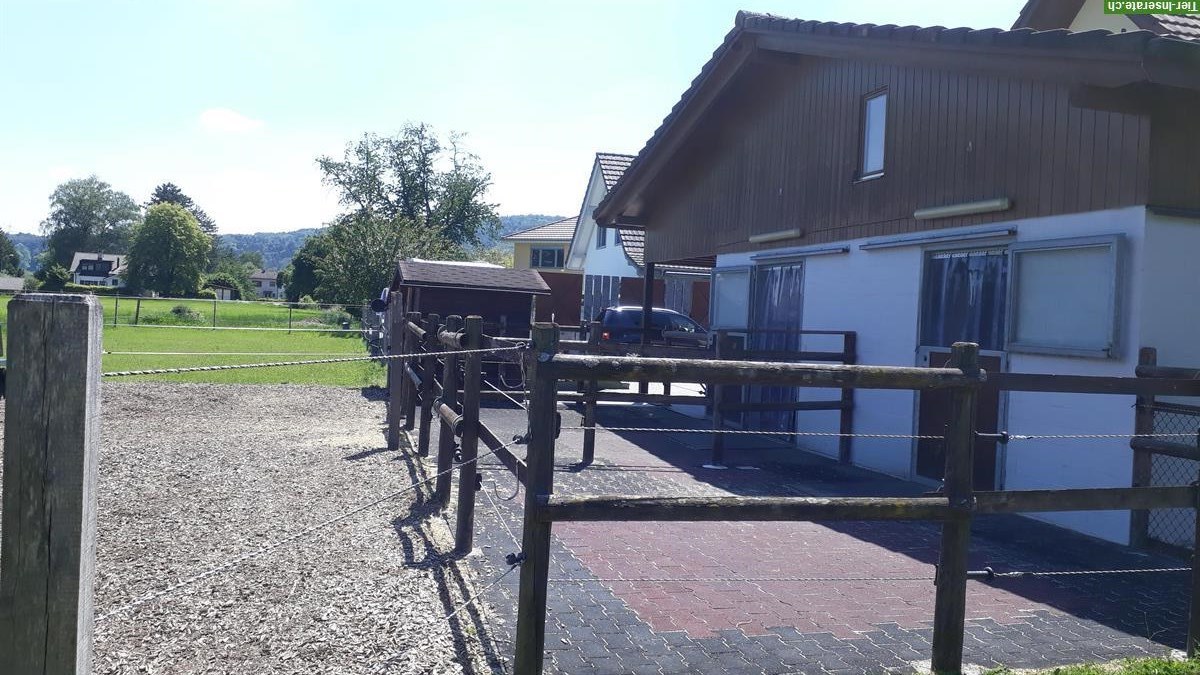 Bild 8: 2 Pferdeboxen zu vermieten, auch für Kleinpferde / Ponys geeignet