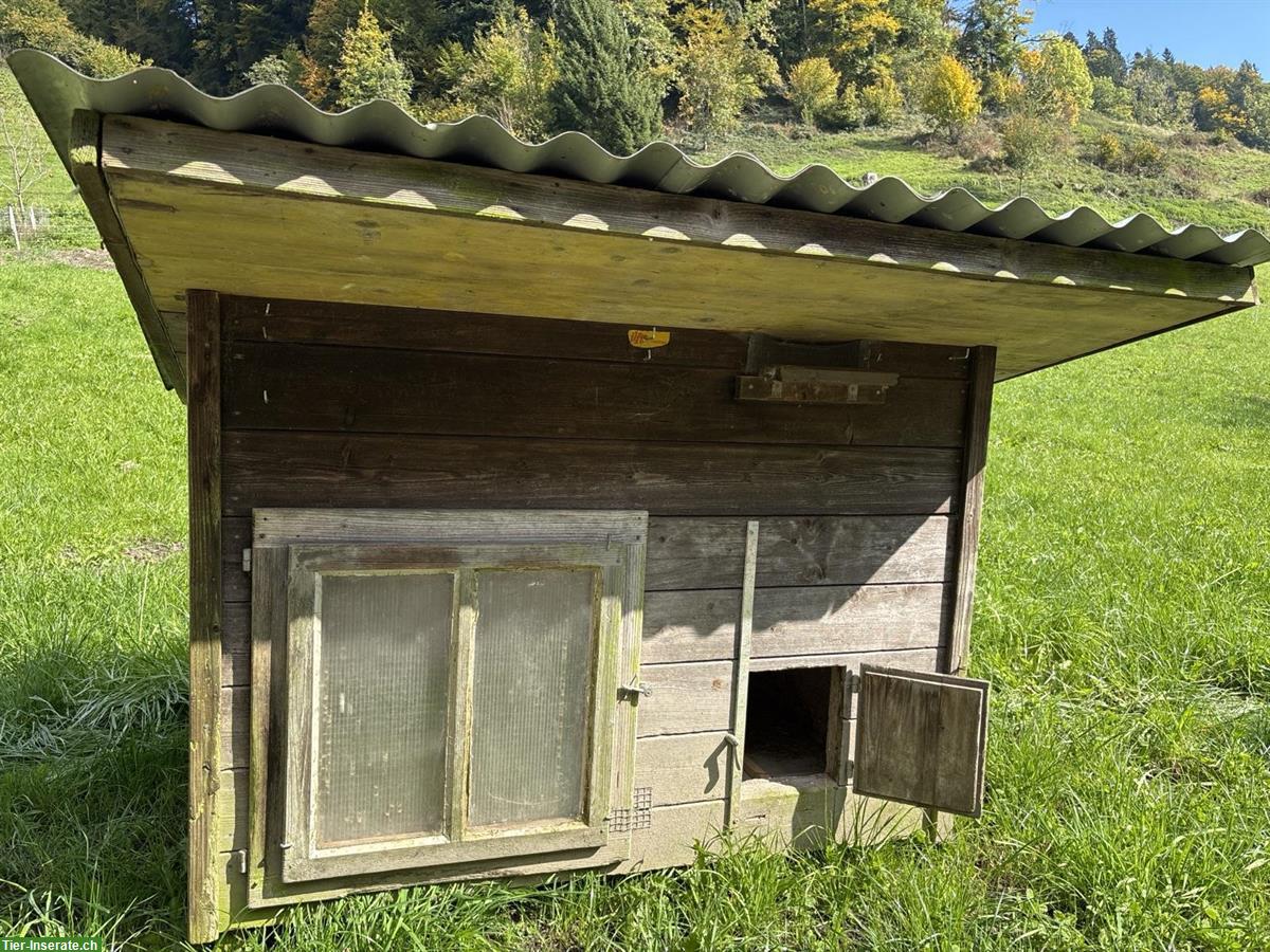 Ilfis Kleintierstall für Hühner, Enten oder Kaninchen