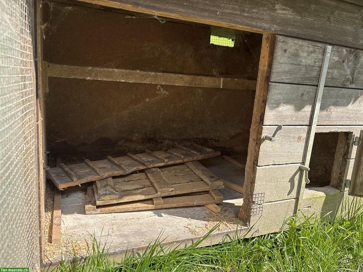 Bild 3: Ilfis Kleintierstall für Hühner, Enten oder Kaninchen