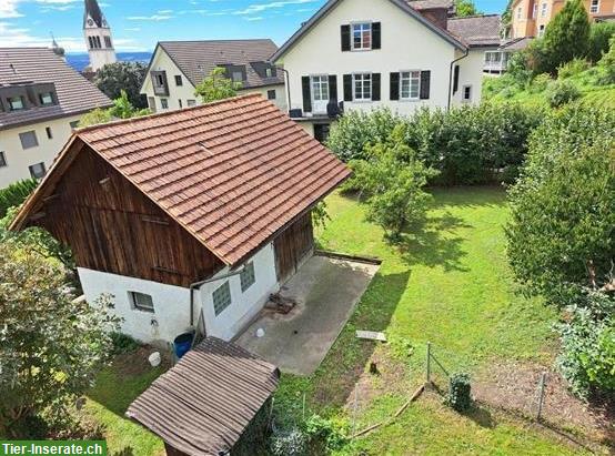 Wohnhaus, Schopf, Landwirtschaft zu verkaufen