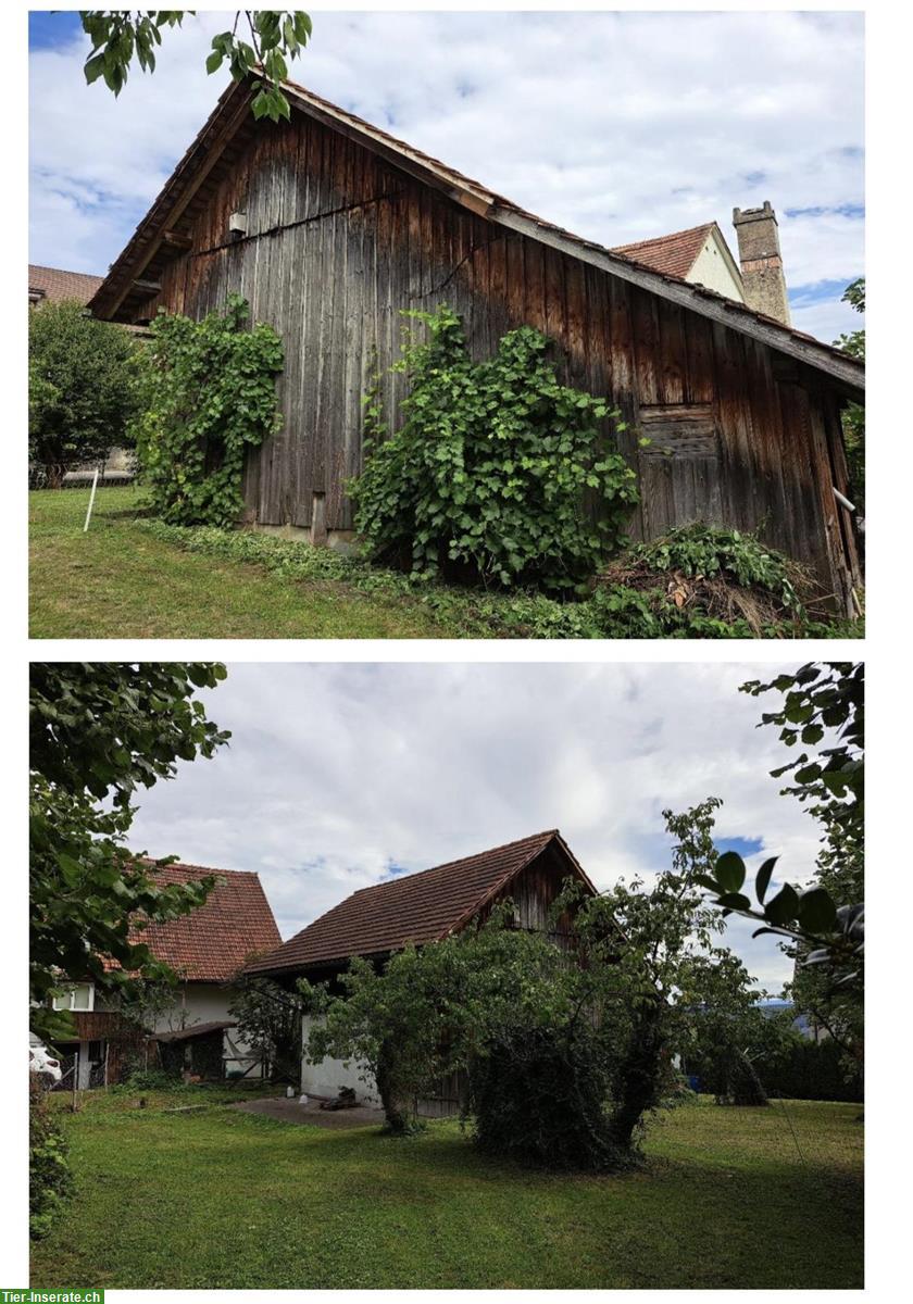 Bild 2: Wohnhaus, Schopf, Landwirtschaft zu verkaufen