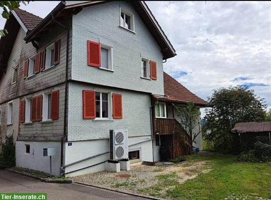 Bild 3: Wohnhaus, Schopf, Landwirtschaft zu verkaufen