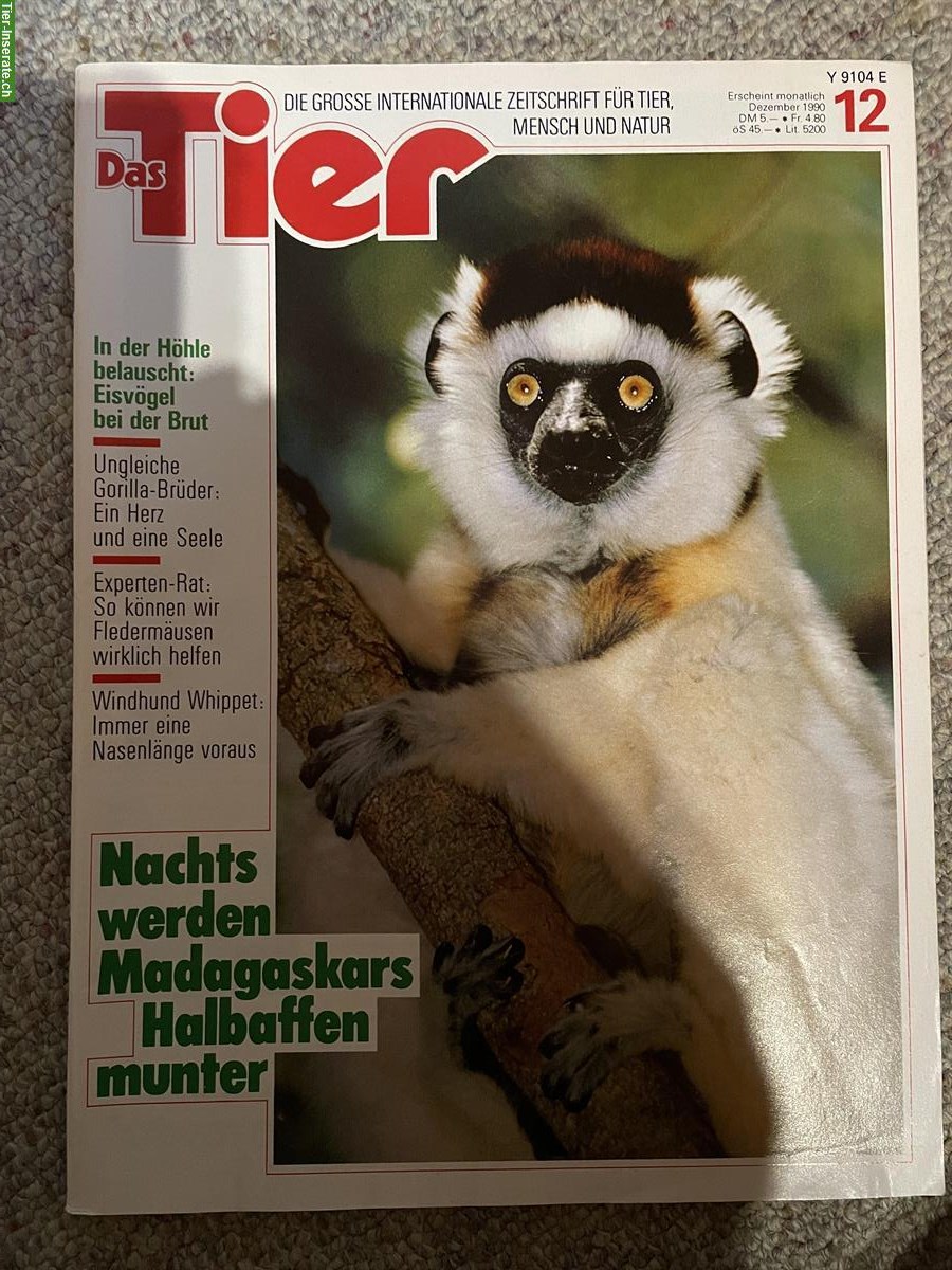Bild 2: Zeitschriften für Hundefans und Tierfreunde