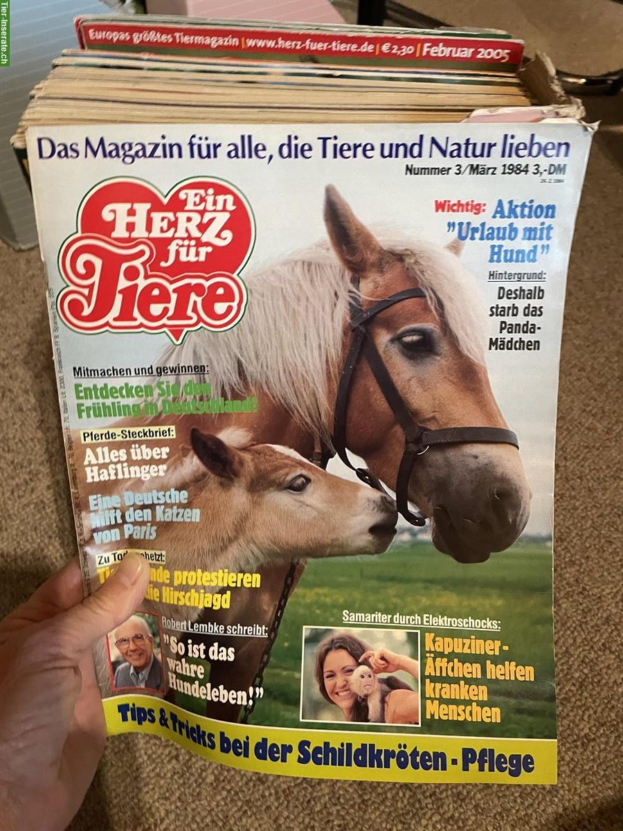Bild 3: Zeitschriften für Hundefans und Tierfreunde
