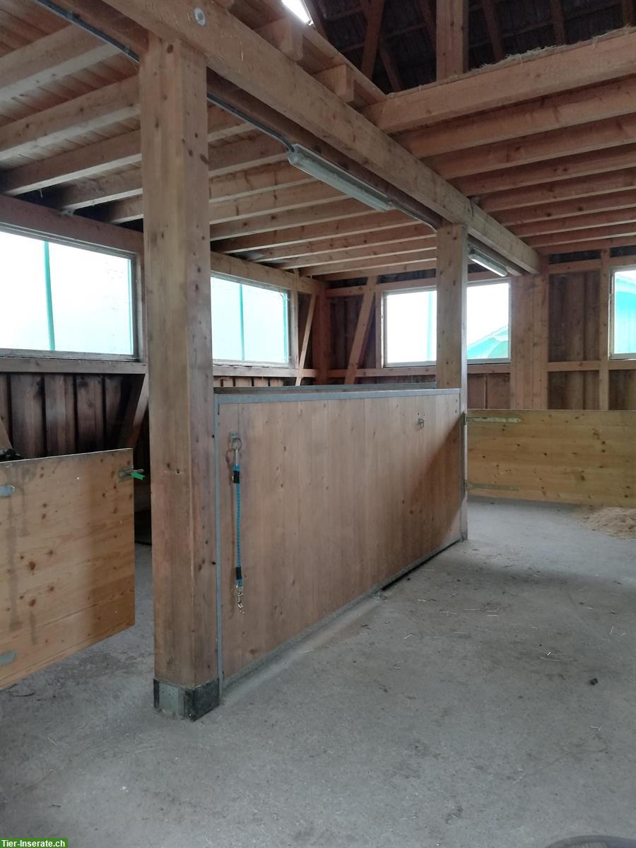 Bild 8: Pferdeboxe mit Weideland zu vermieten, 5046 Schmiedrued