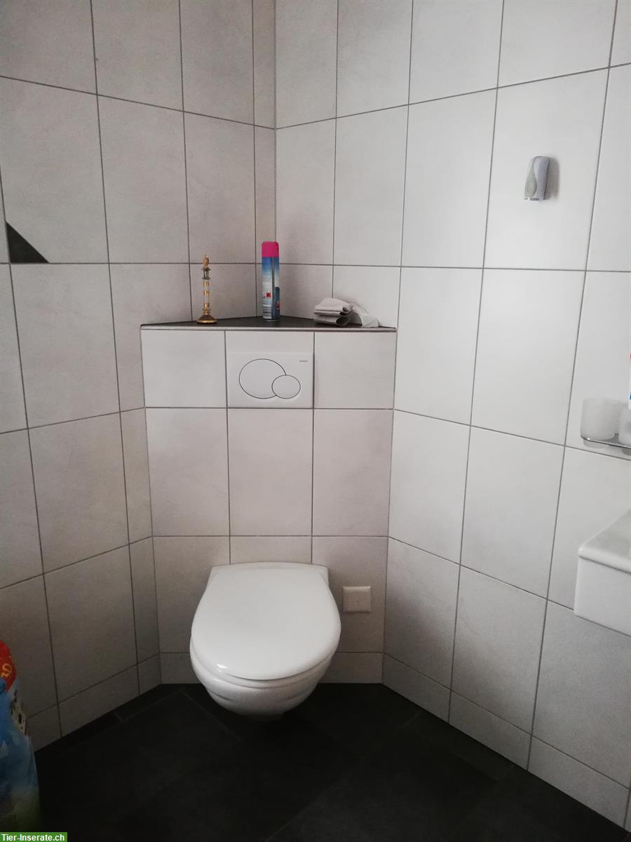 Bild 3: 4.5 Zimmer Wohnteil mit Pferdestall zu vermieten, 5046 Schmiedrued
