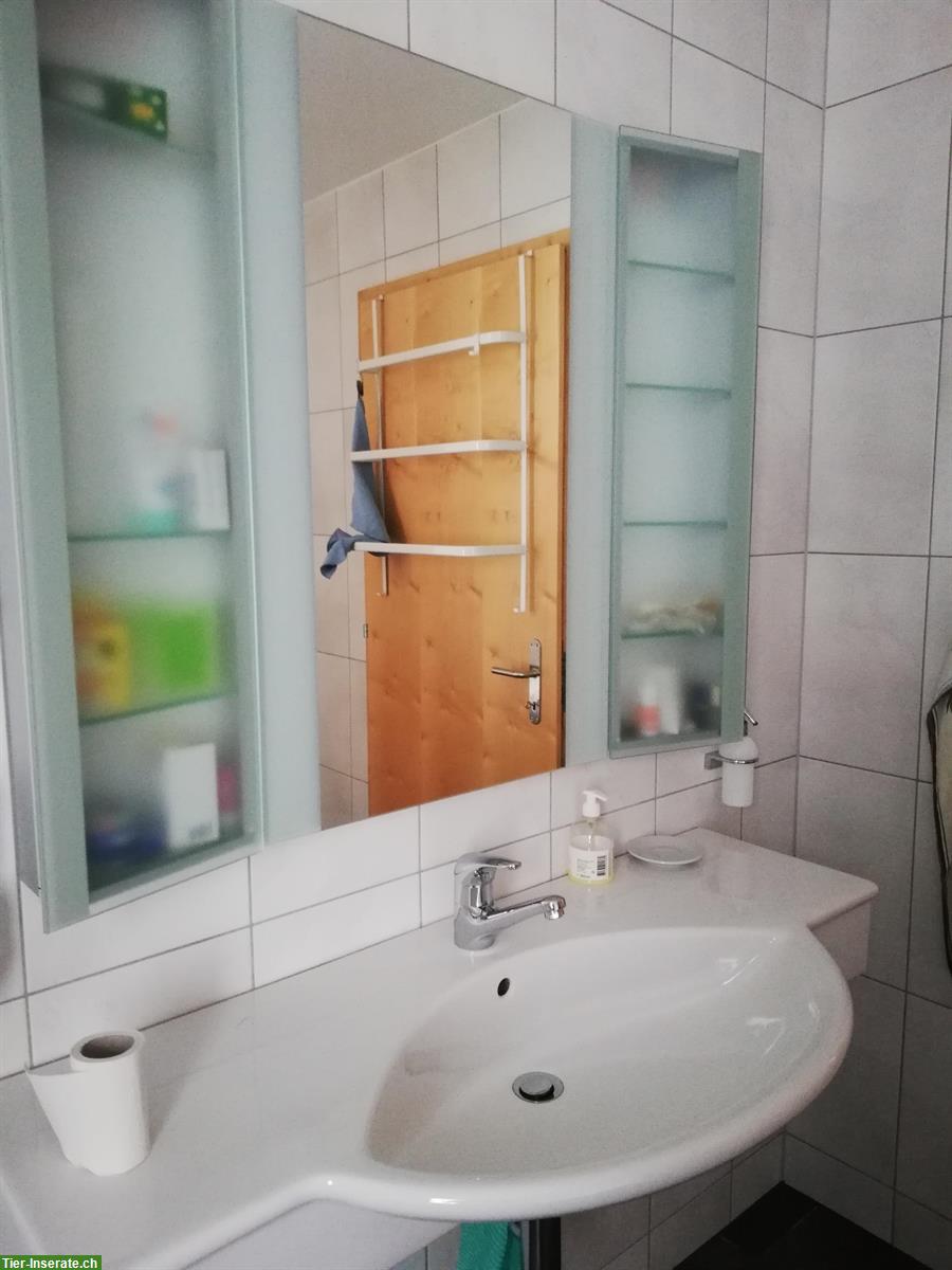 Bild 4: 4.5 Zimmer Wohnteil mit Pferdestall zu vermieten, 5046 Schmiedrued