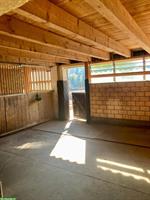 Bieten Auslaufboxe für Wallach in Oberwil bei Nürensdorf