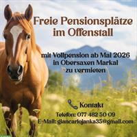 Freie Pensionsplätze im Offenstall in Obersaxen Markal