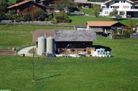Pferdeparadies im Simmental – 3 Pferdeboxen frei in Latterbach BE