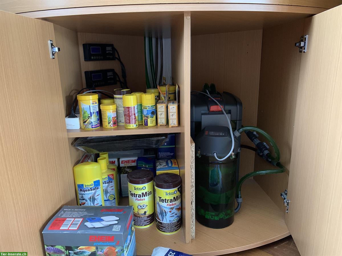 Bild 7: Eckaquarium JUWEL TRIGON 350 l + Unterbau, Fische, Zubehör