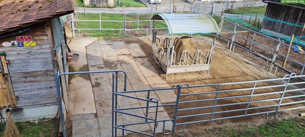Bild 5: 🐴Platz frei in 2er-Offenstall mit viel Weidegang, Konolfingen BE