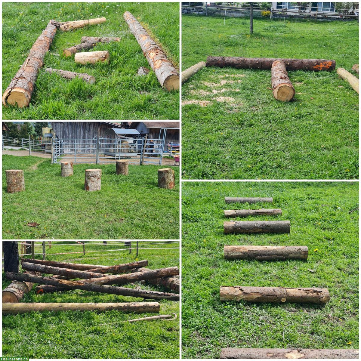 Bild 9: 🐴Platz frei in 2er-Offenstall mit viel Weidegang, Konolfingen BE