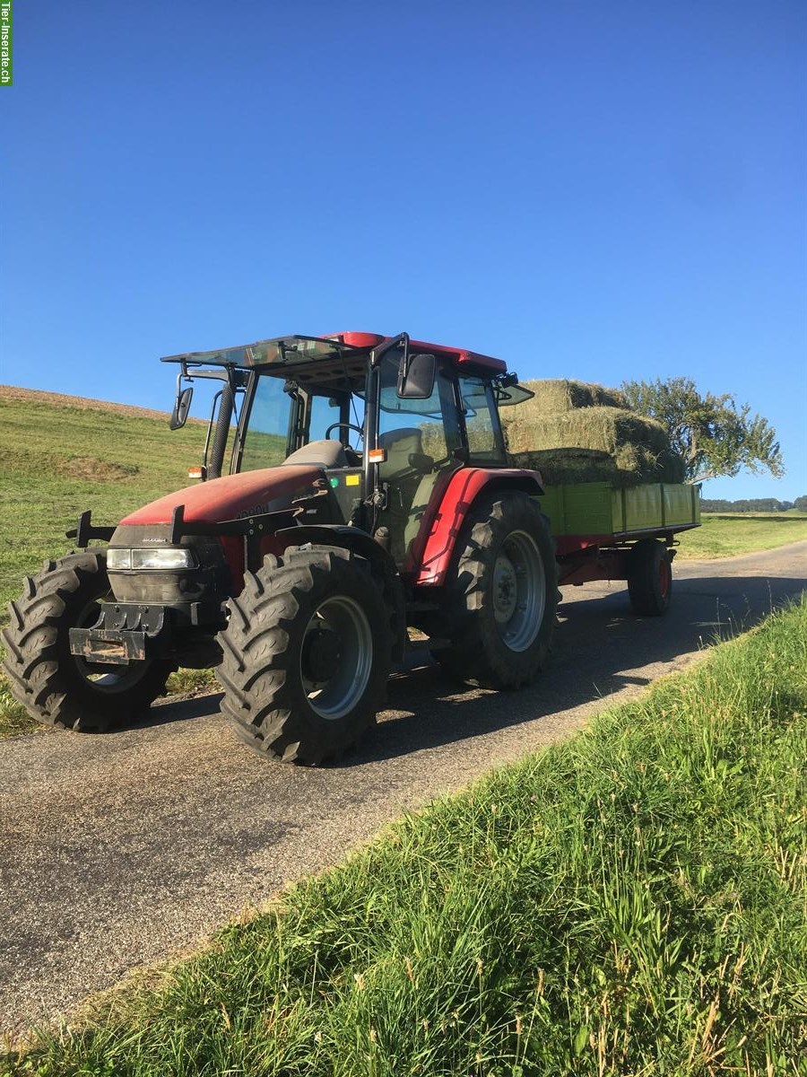 Bild 3: Emd in Kleinballen aus Saison 2025 zu verkaufen