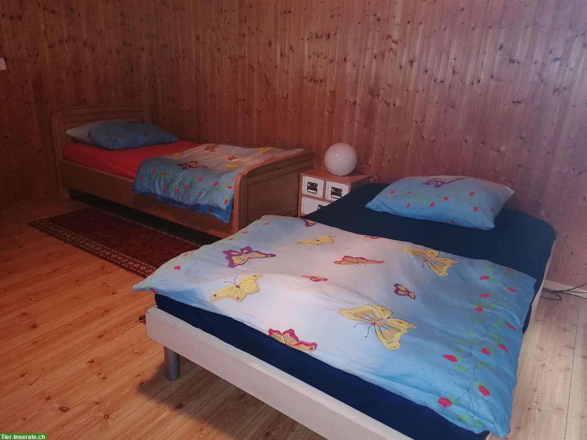 Bild 4: Ferien mitten im Paradies, 3.5 Zimmer Wohnung & bei Ponys