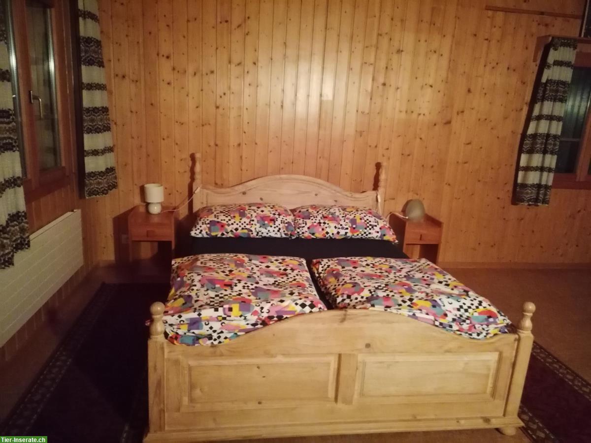 Bild 5: Ferien mitten im Paradies, 3.5 Zimmer Wohnung & bei Ponys