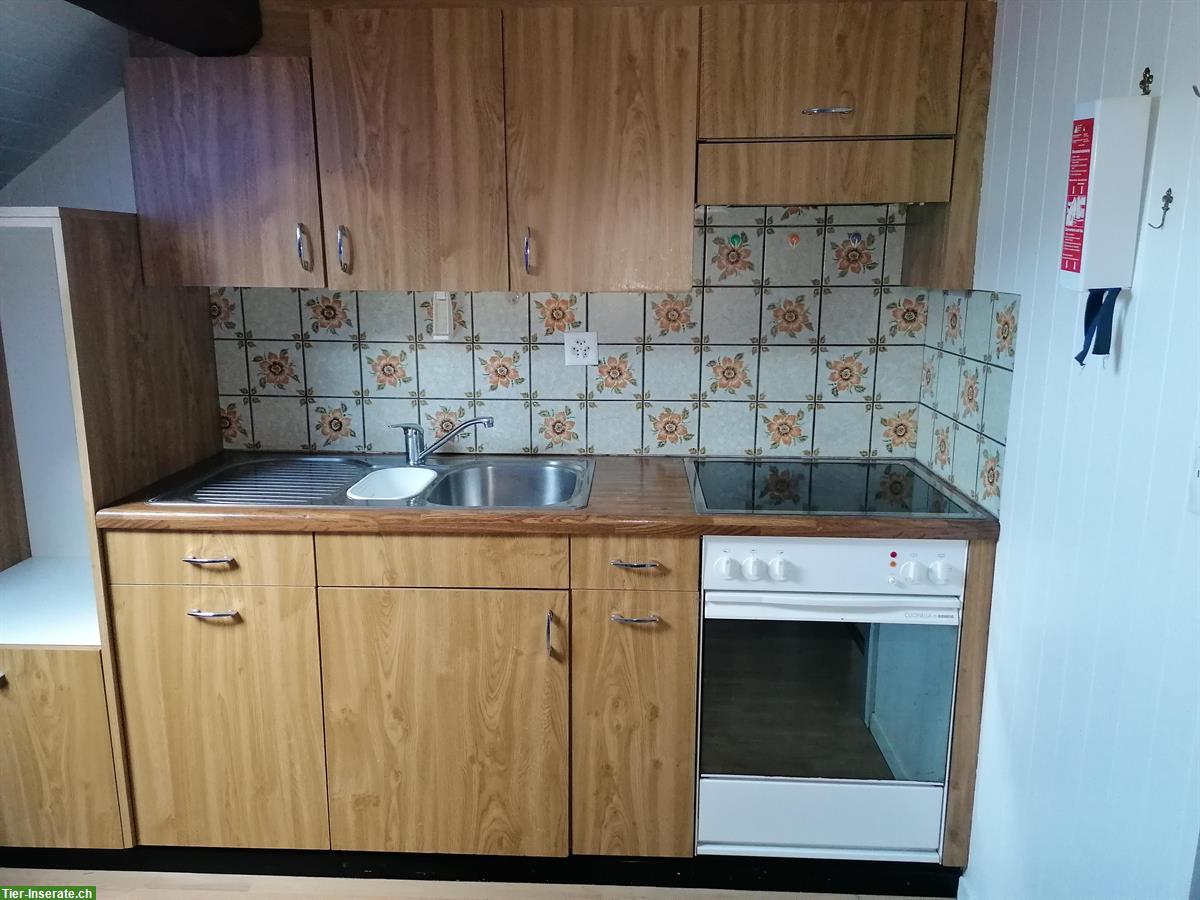 Bild 6: Ferien mitten im Paradies, 3.5 Zimmer Wohnung & bei Ponys