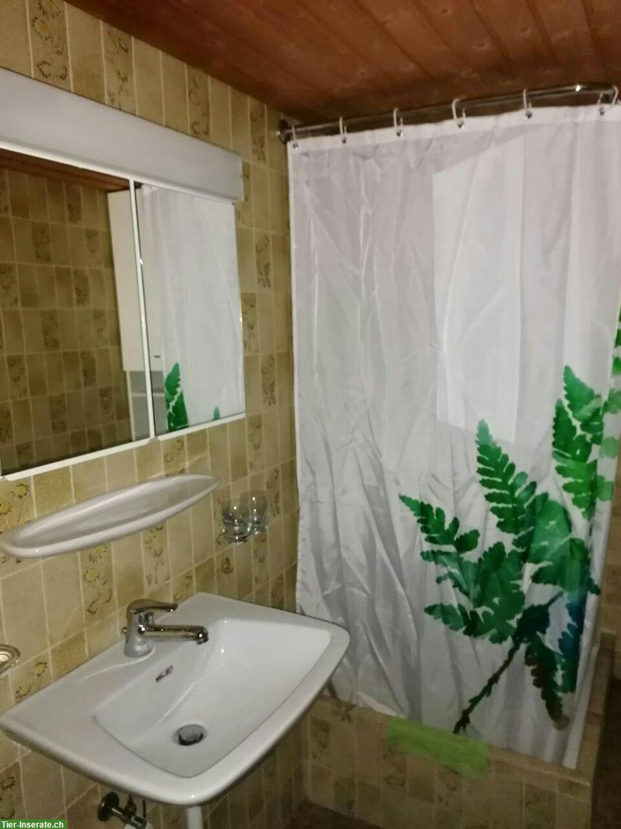 Bild 7: Ferien mitten im Paradies, 3.5 Zimmer Wohnung & bei Ponys