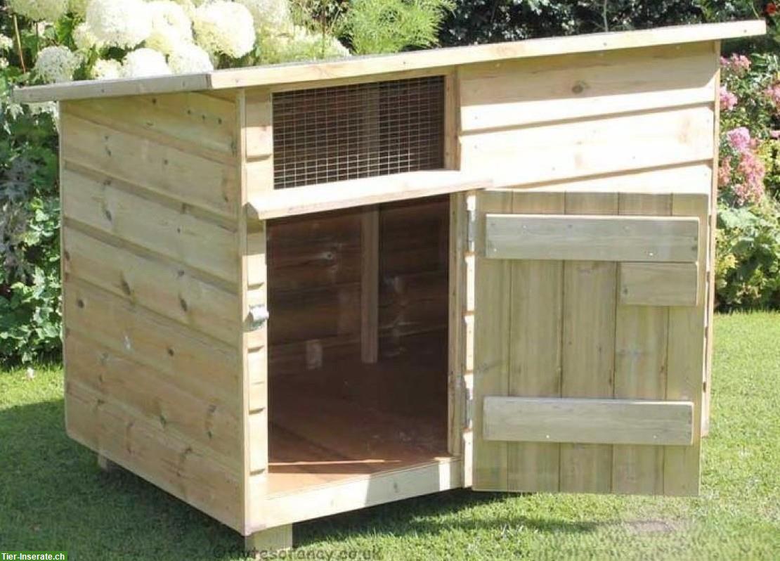 Entenhaus gesucht: Raubtiersicher und stabil