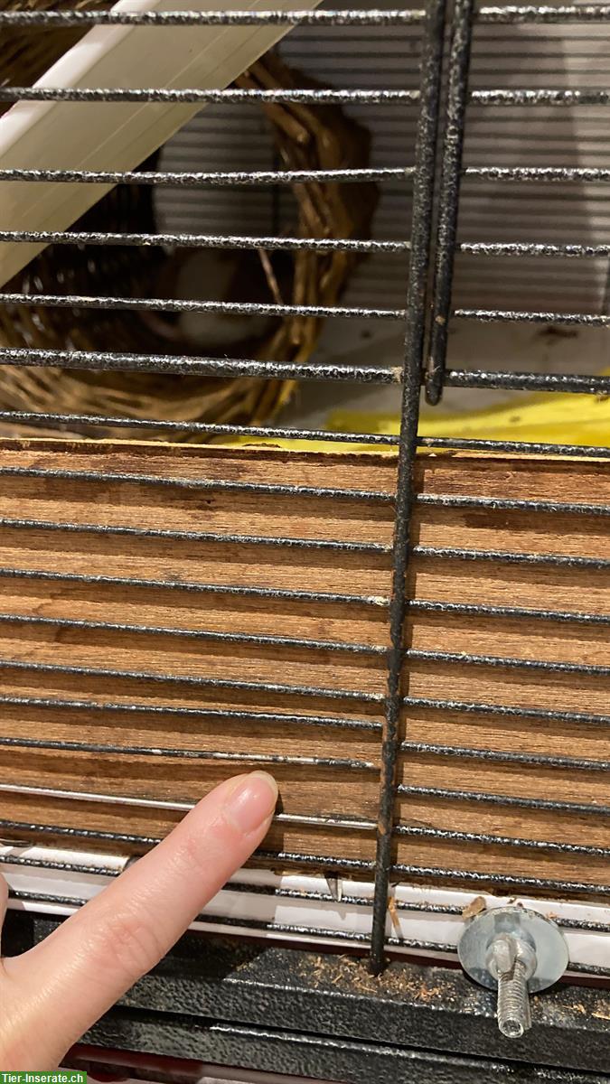 Bild 2: Tierkäfig/Voliere, gross und fahrbar, zu verkaufen