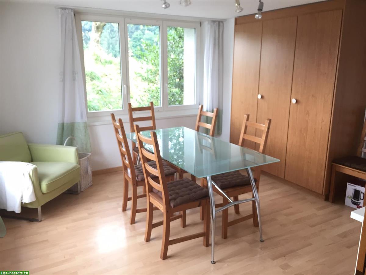 Bild 9: Pferdeparadies in Ohmstal: bieten Offenstallplatz mit Weidezugang