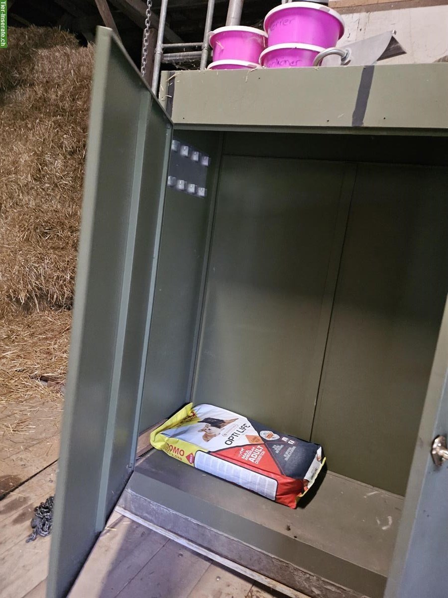 Bild 2: Metallschrank mäusesicher abzugeben