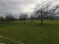 Auslaufboxe/Offenstall Selbstversorger, 2 Ponys oder 1 Pferd