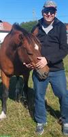 Reitstall: Stallarbeit gesucht, Region Zug