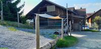 Bieten Platz in Freilaufstall für Islandpony oder Kleinpferd