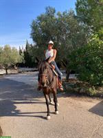 Westernreitbeteiligung gesucht, Umgebung Münchwilen TG