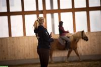 Faszien, tensegrales Training und Reitkunst - Basiskurs