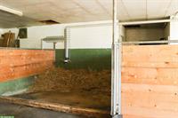 2 Auslaufboxe für Selbstversorger in Hagendorn ZG