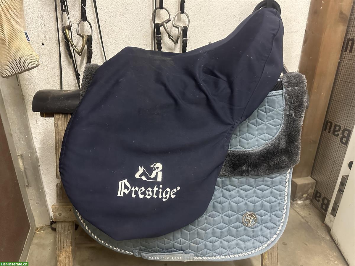 Bild 9: Prestige Explorer Sattel (neuwertig) zu verkaufen
