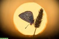 Nettes Zuhause auf dem Land GESUCHT