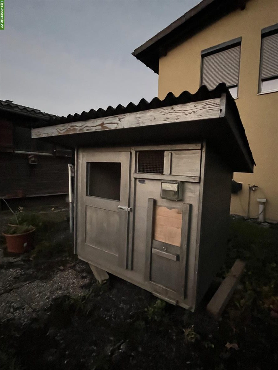 Stieger Hühnerstall zu verkaufen