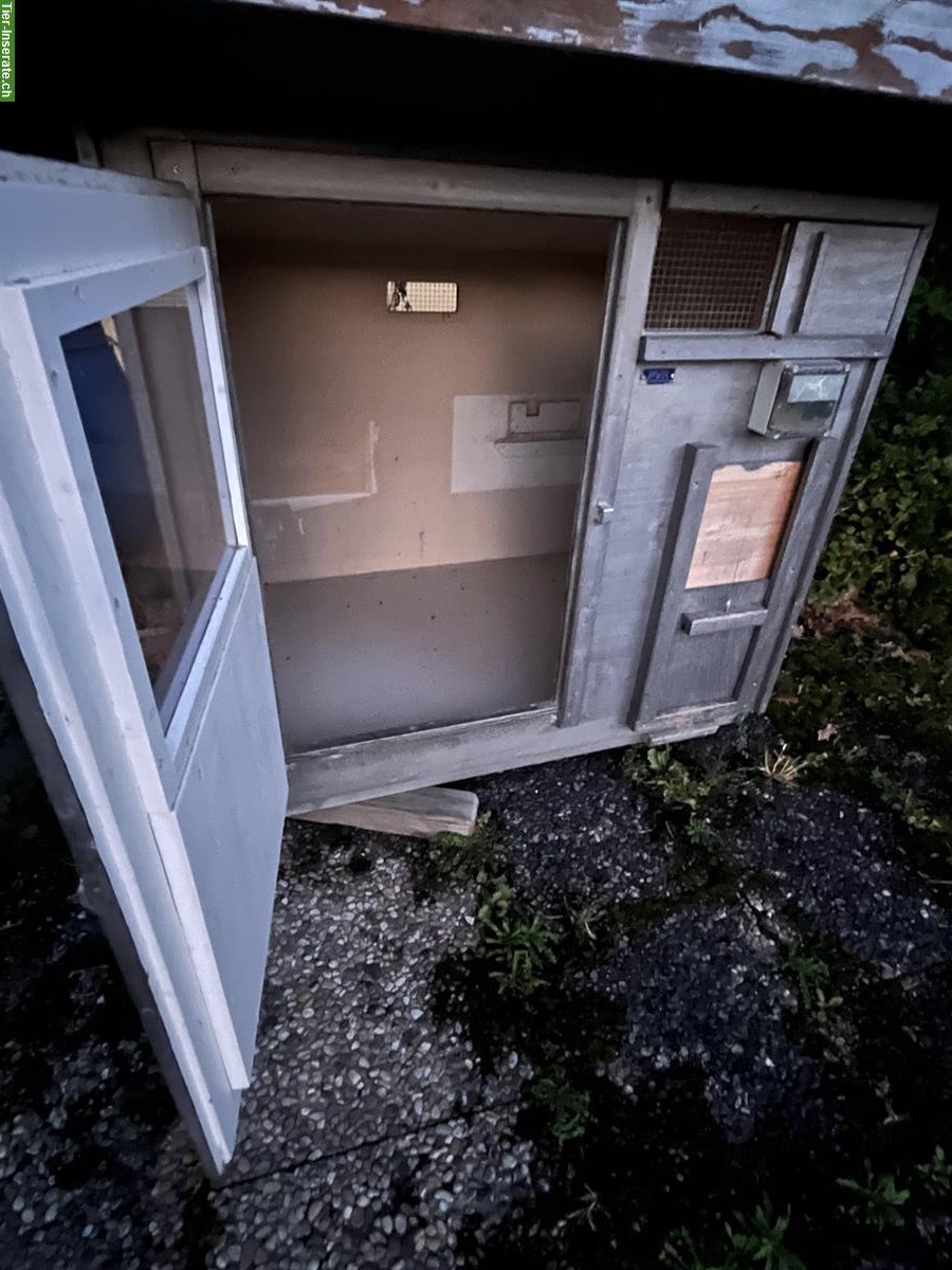 Bild 2: Stieger Hühnerstall zu verkaufen