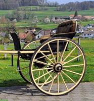 Seltene 2-Rad-Kutsche (Gig) zu verkaufen