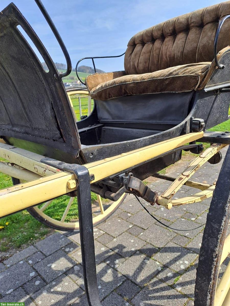 Bild 2: Seltene 2-Rad-Kutsche (Gig) zu verkaufen