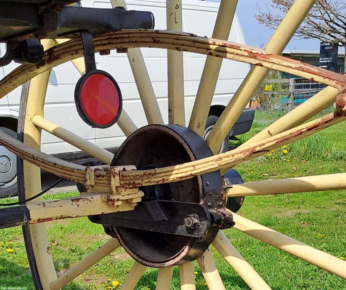 Bild 3: Seltene 2-Rad-Kutsche (Gig) zu verkaufen