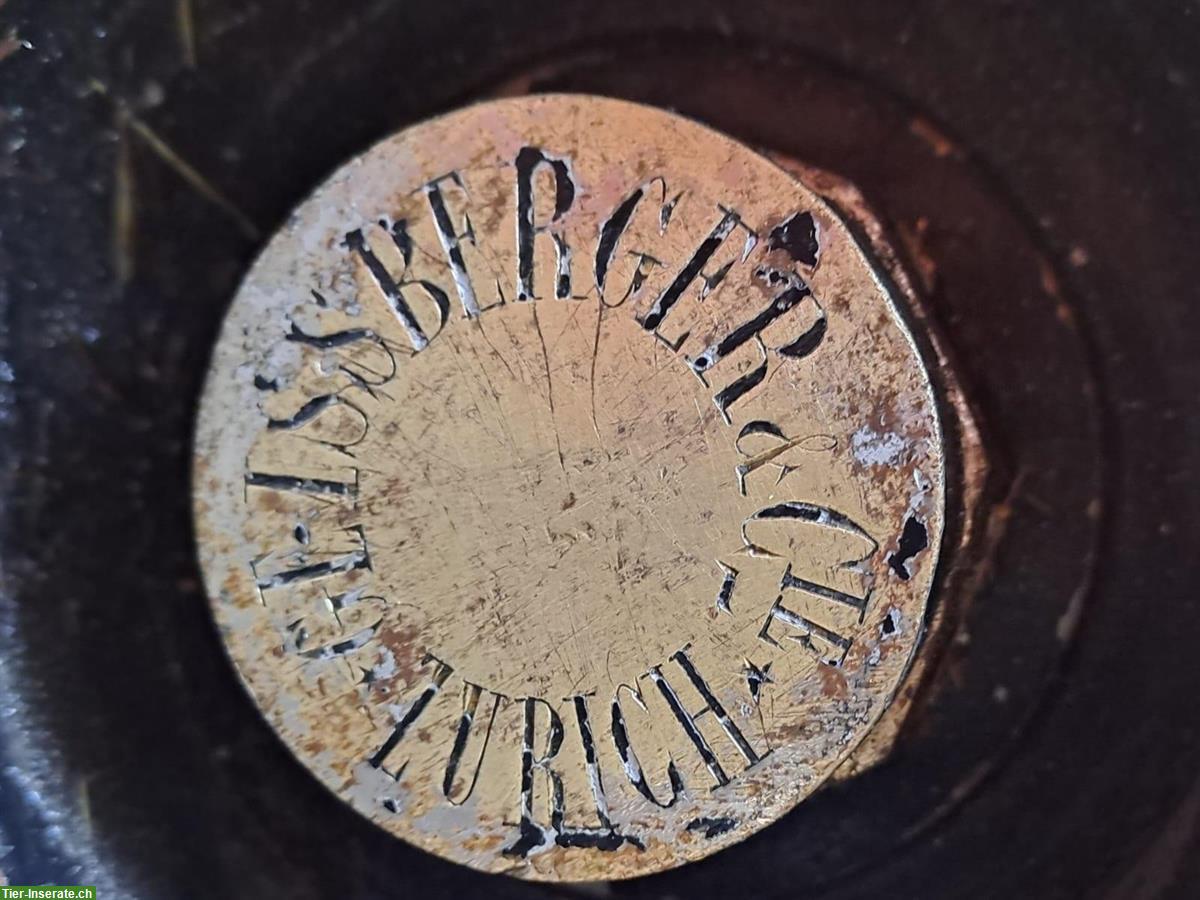 Bild 4: Seltene 2-Rad-Kutsche (Gig) zu verkaufen