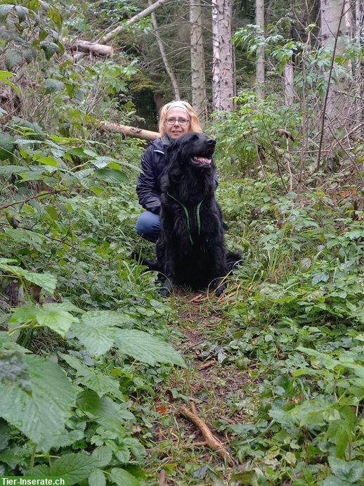 Bild 3: Hof für tiergestützte Umweltpädagogik gesucht