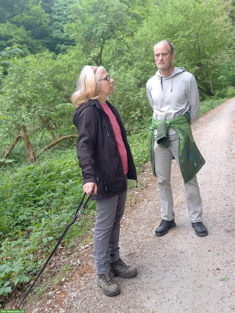 Bild 4: Hof für tiergestützte Umweltpädagogik gesucht